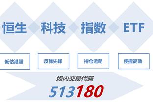 开云入口网页版登录截图4